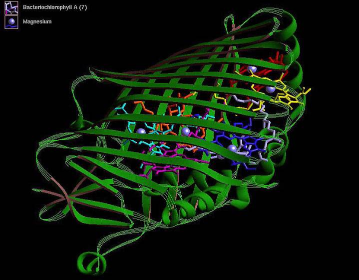 A biological 0-day? Threat-screening tools may miss AI