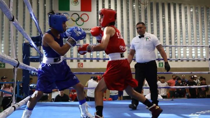 Logra Puebla tres medallas en el Festival Olímpico de Boxeo
