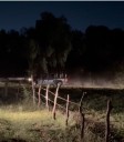 Muere hombre ahogado en arroyo de la Guayana en San Francisco de los Romo, Aguascalientes