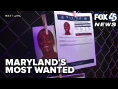 Argument between sisters leads to bloody assault with hammer, investigators say