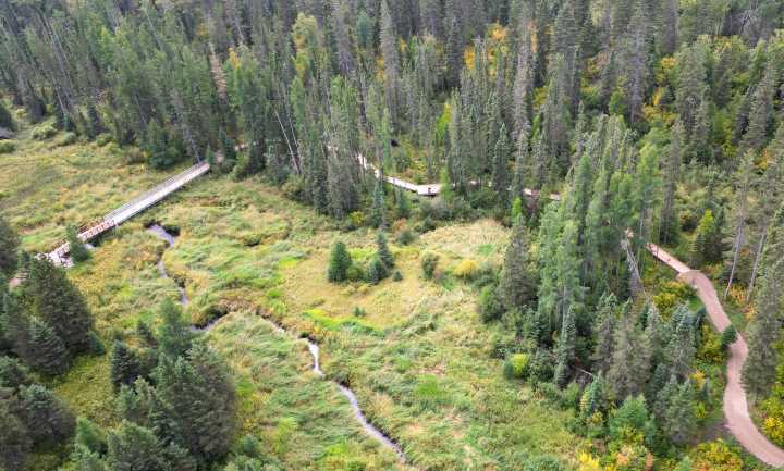 Survey seeks feedback to guide future use of national park