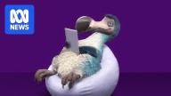 Dodo and iPrimus hack impacts more than 1,600 home internet, email and mobile customers