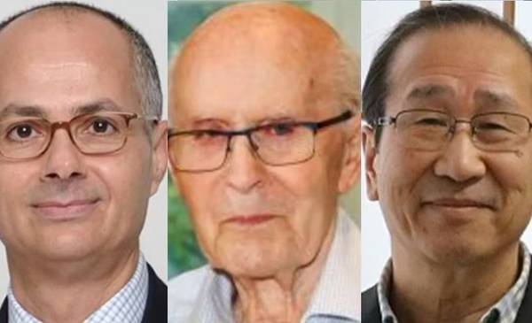 Premio Nobel de Química para tres científicos que crearon estructuras moleculares