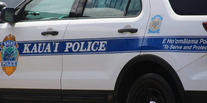 Kauai police ask for help identifying human remains found on beach