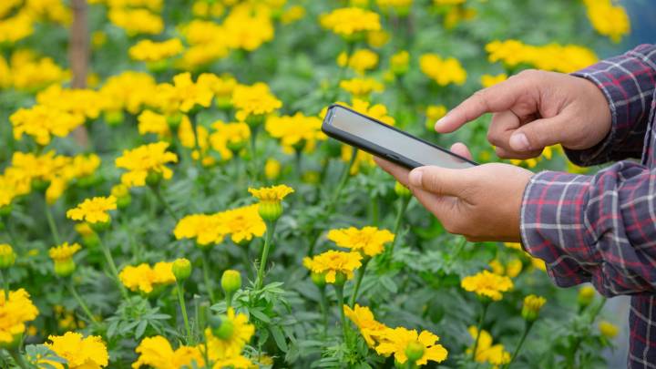 ‘Voice-first AI platform will make digital governance accessible to all’: Wadhwani Foundation’s Prakash Kumar