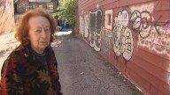 This Toronto homeowner says a nearby laneway is overrun by rats. The problem: no one knows who owns it
