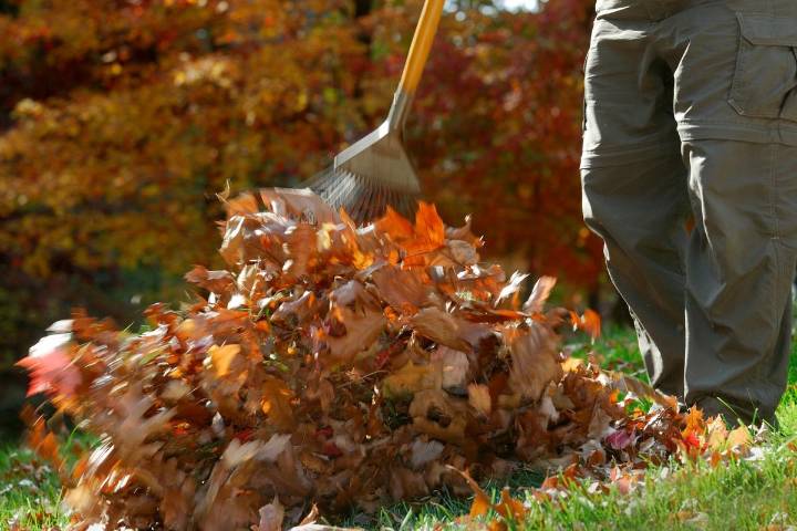 🍂 Composting Leaves in Casper: Turning Fall Cleanup into Garden Gold