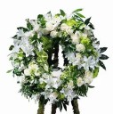 SCATTONE VDA. DE PETRUZZI MARY YOLANDA