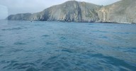 Continúa la búsqueda de mariscador desaparecido en Playa Ancha: Armada mantiene patrullajes terrestres y marítimos