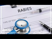 Rabid skunk kills cat in Gaston County, marks 15th case of 2025