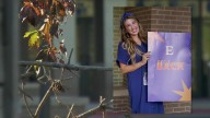 Edmond principal forced to resign, attorney says in claim against district