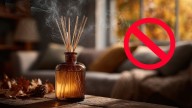 Ni sahumerios ni velas: el truco natural para perfumar la casa todo el día