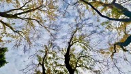 Cooler, cloudier end to the week in Portland