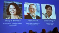 Fred Ramsdell, el Nobel de Medicina que se enteró de su premio casi 12 horas después