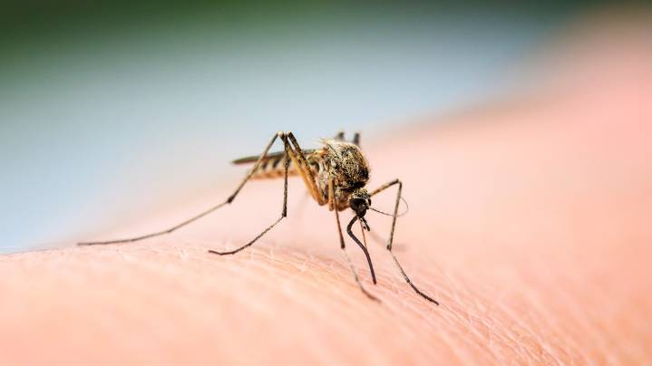 Louisville health officials report concerning rise of West Nile Virus cases