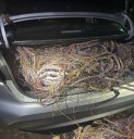 Accused thieves 'break the internet' in Hickory