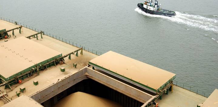 China compró soja a Estados Unidos tras 5 meses de tensión comercial: el precio del poroto sigue subiendo