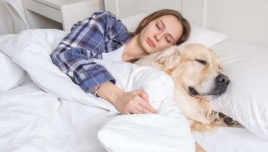 🐾 Las personas que duermen con sus mascotas en la cama tienen estas 7 características, según psicólogos