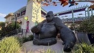 San Antonio Zoo enhances visitor experience with new sculptures and art installations
