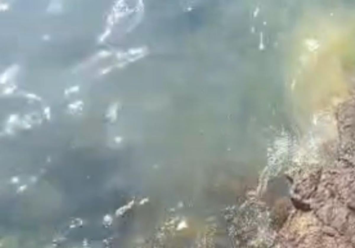 Arrecife demanda evitar los vertidos en la Punta del Camello