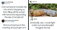 ‘The Darker Side Of Science’: 38 Posts That Would Probably Win A Nobel Prize In Memes