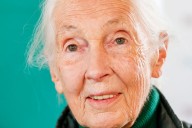 La última entrevista con LN. Jane Goodall: “Mi próxima gran aventura va a ser morir”