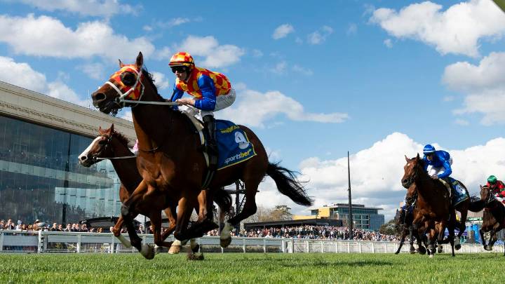 RACING 
                                          Comments
                                        
                                          Premium
                                        Autumn