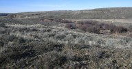 Shutdown means furloughs, limited services for federal public land agencies