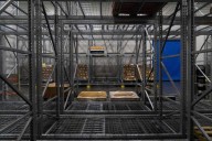 Federal government shutdown threatens SNAP food aid as several states scramble to help