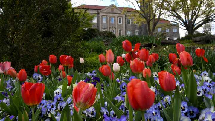 Nearly a century later, a look back at the history of Cheekwood
