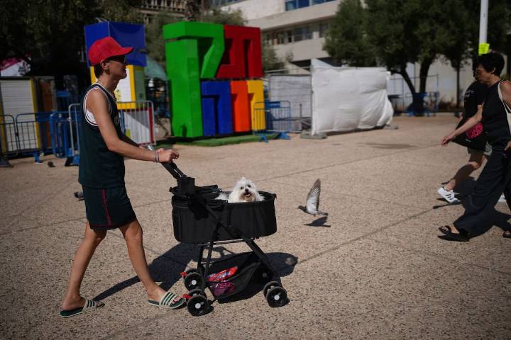 Cómo es el regreso de miles de palestinos a Gaza tras el cese el fuego