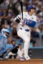 From parrots to chemists, the world is captivated by baseball superstar Ohtani