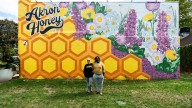 Photos: Brent and Rebecca Wesley and the upcoming Yellow Brick Road District