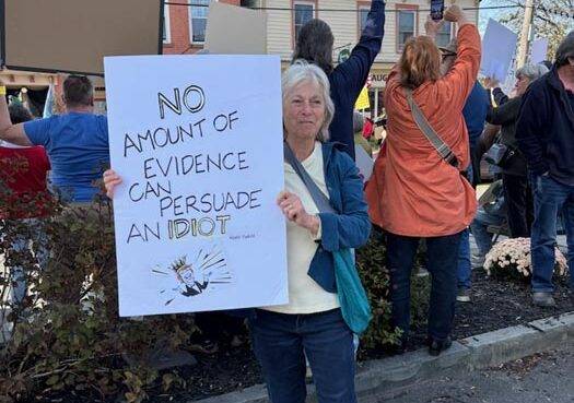 Protesters make their voices heard across the Hudson Valley