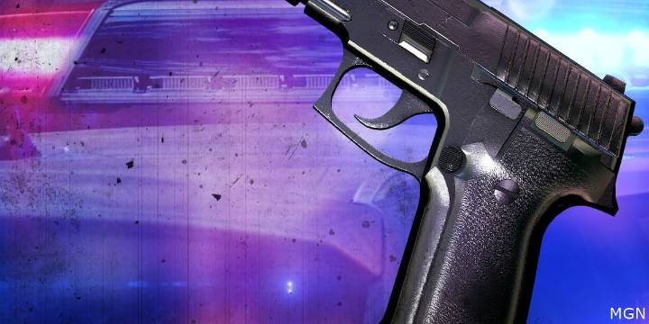 Police: Mt. Vernon man found with stolen gun in Carbondale