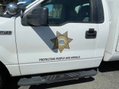 County seeks info on puppy brought to Bonita shelter with ‘severe neck injury’