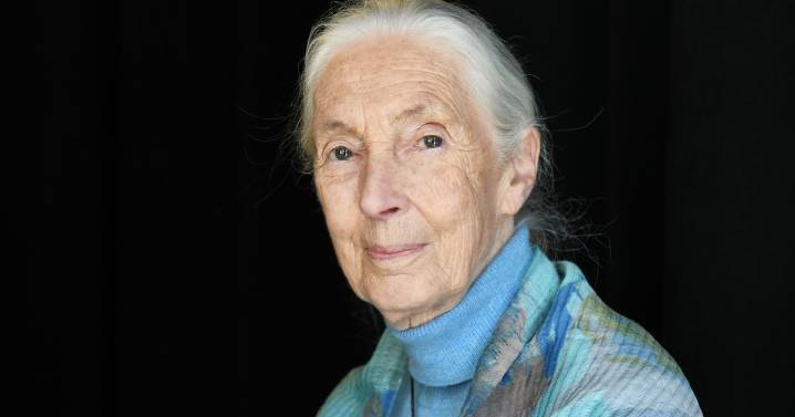 Jane Goodall’s Cause of Death Has Been Revealed