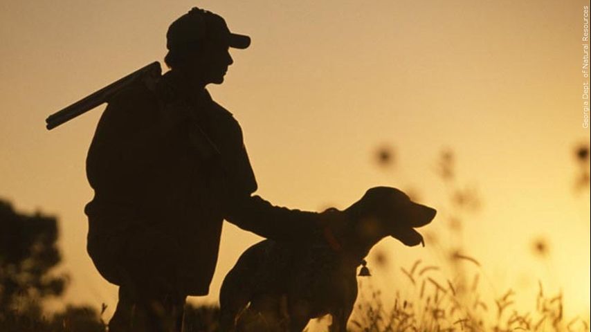 Louisiana duck hunting season to open in November