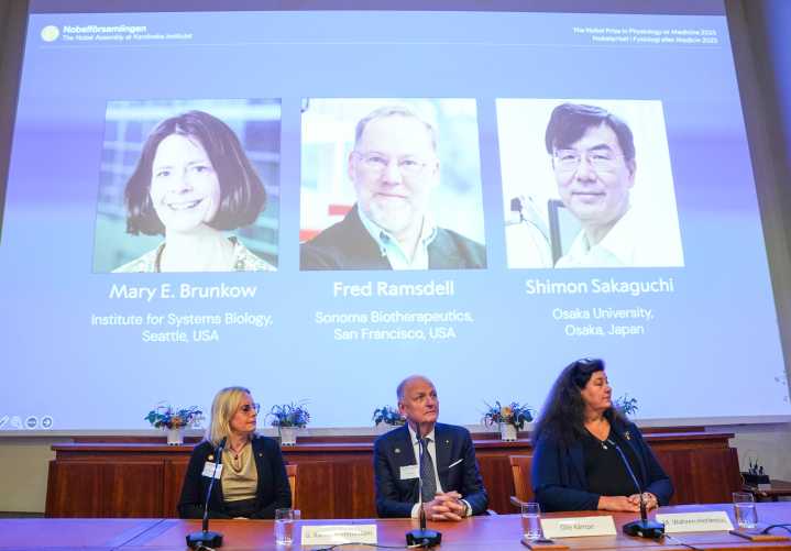El Nobel de Medicina, a investigadores sobre el control del sistema inmunitario