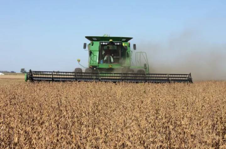 La pausa en los aranceles agrícolas de Milei dispara récord histórico de exportaciones y genera tensiones en el sector