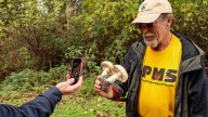 Fall mushroom season has arrived, with Kitsap show set for Nov. 2