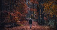 Most haunted forests in the UK from Anne Boleyn's ghost to the 'Devil's Whirlpool'
