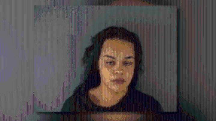 Woman accused of assaulting man, dog before striking Derby police cruiser during chase