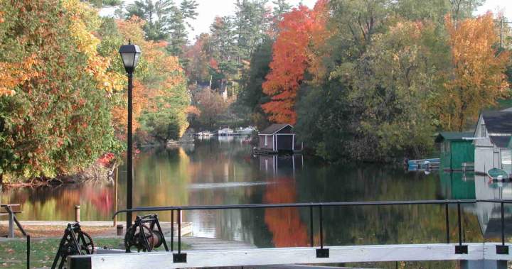 Rideau Lakes council goes virtual after police called to raucous meeting