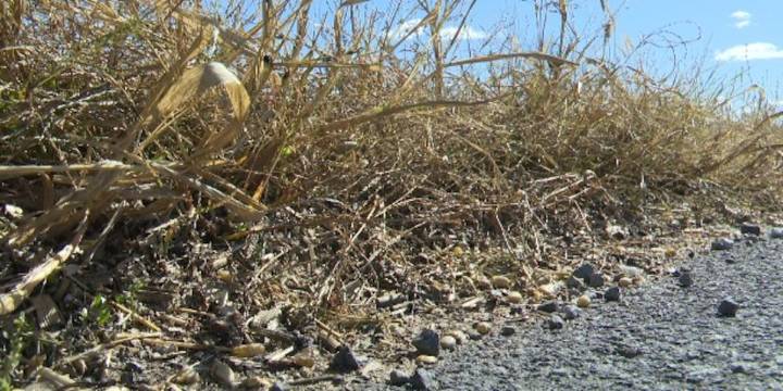 St. Lawrence Co. saw driest summer on record
