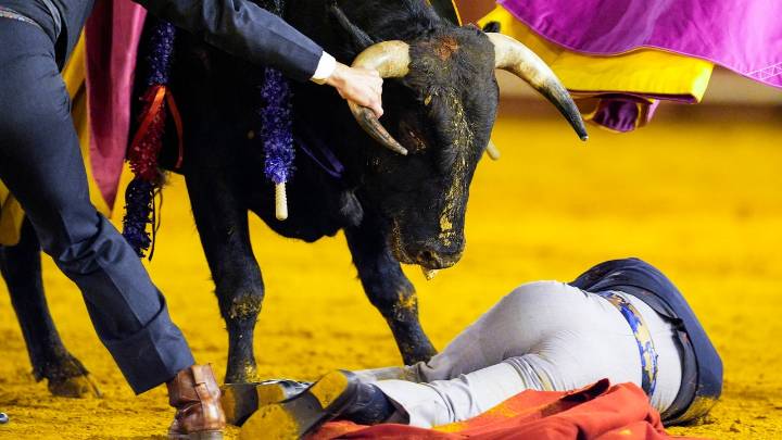 El Cid, operado de una cornada interna