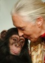 PHOTOS: Remembering renowned chimpanzee expert Jane Goodall, dead at 91