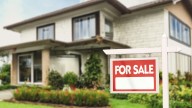 Keep An Eye On Potential Pest Problems Before Buying A Home: Here's How