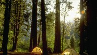 Squatters Taking Over Yosemite Campgrounds As NPS Struggles With Staffing