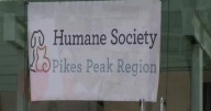 Humane Society to host Pueblo Pet Fest, providing accessible pet care to the community